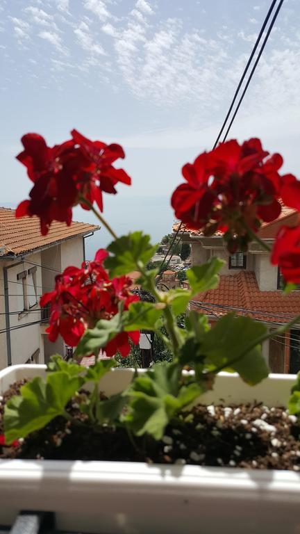 Villa Srma Ohrid Ngoại thất bức ảnh